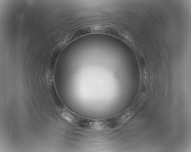 X0000061110419200511181135