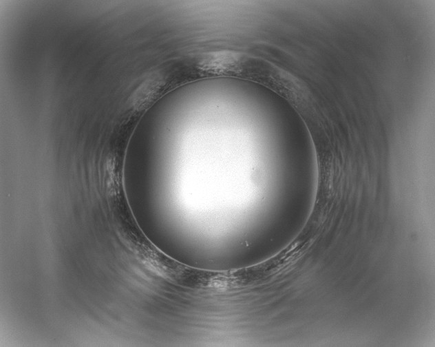 X0000061110420200511181135