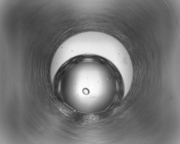 X0000061110421200511181135