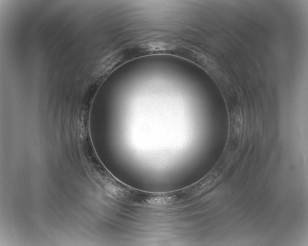 X0000061110422200511181134