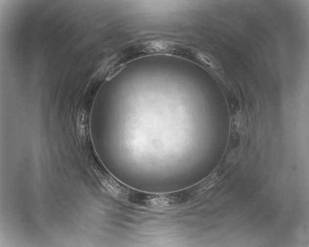 X0000061110423200511181134