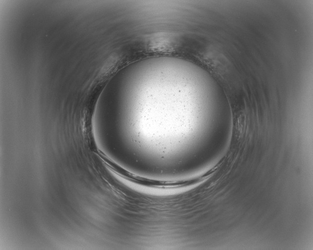 X0000061110424200511181134