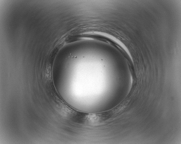X0000061110425200511181134