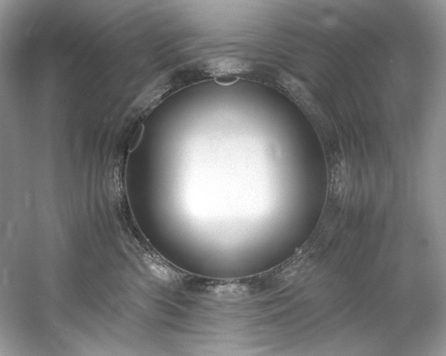 X0000061110426200511181134