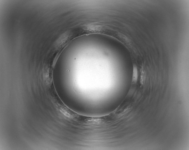 X0000061110428200511181134