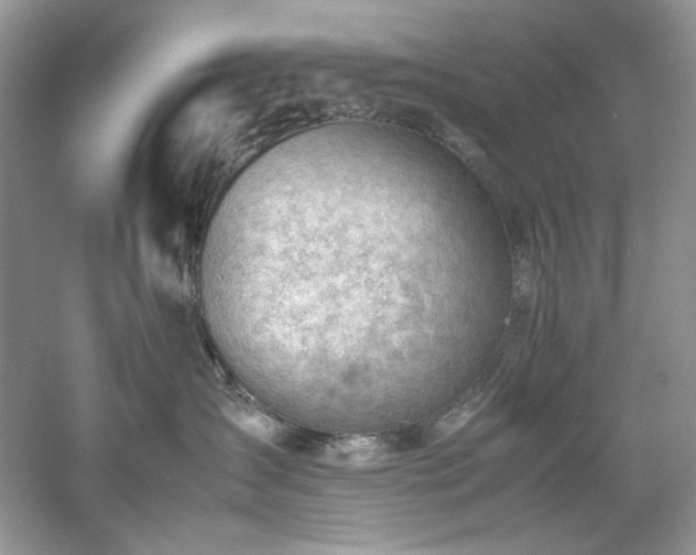 X0000061110431200511181134