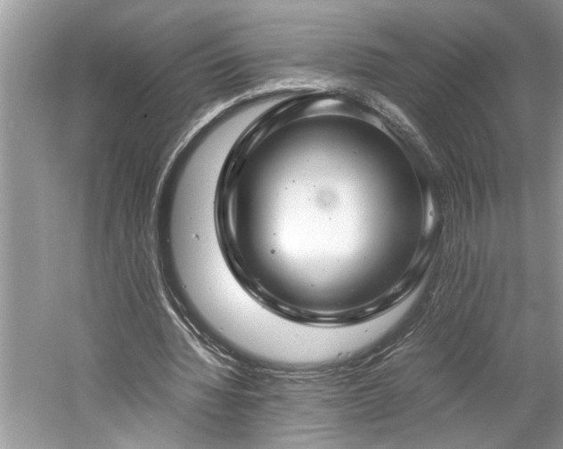 X0000061110436200511181134