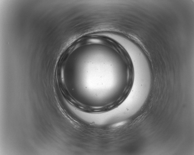 X0000061110439200511181134