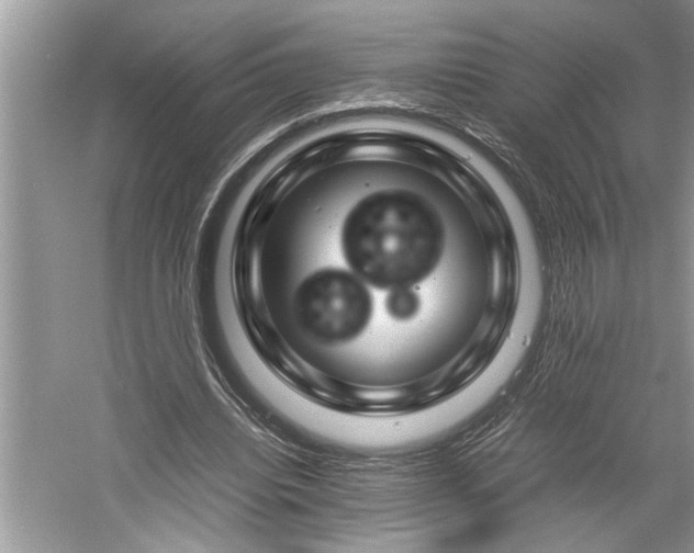 X0000061110440200511181134