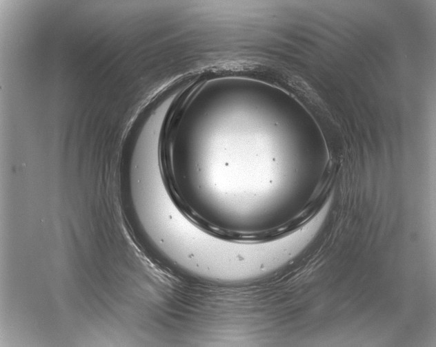 X0000061110444200511181134
