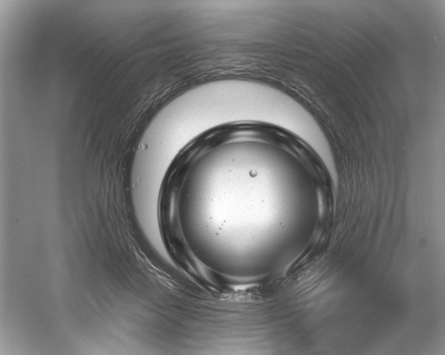 X0000061110458200511181134
