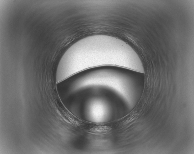 X0000061110459200511181134