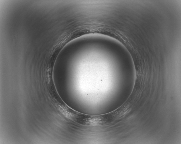 X0000061110462200511181134