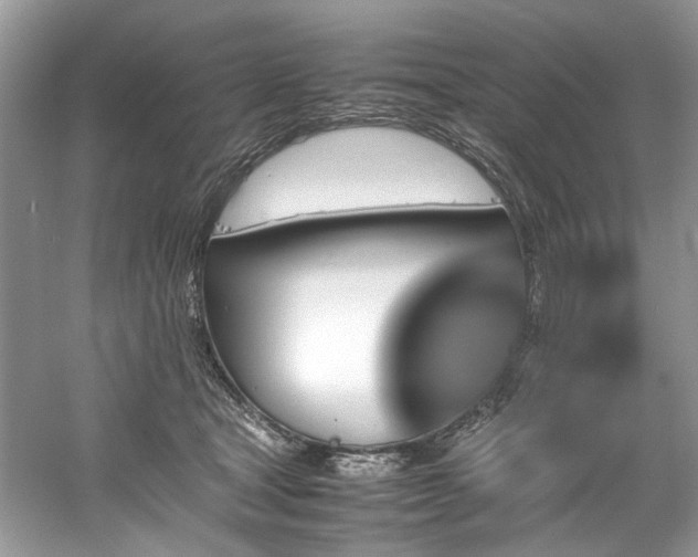 X0000061110465200511181134