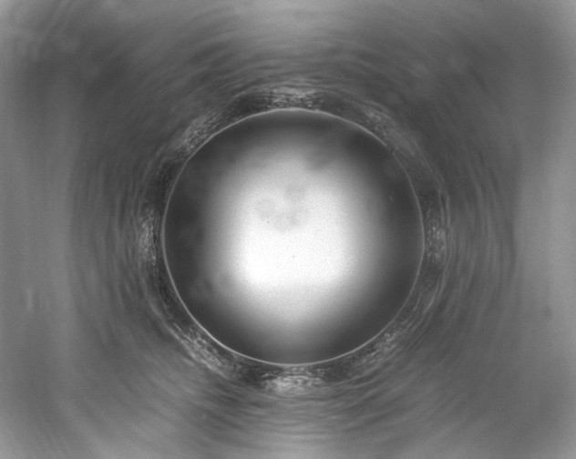 X0000061110468200511181134