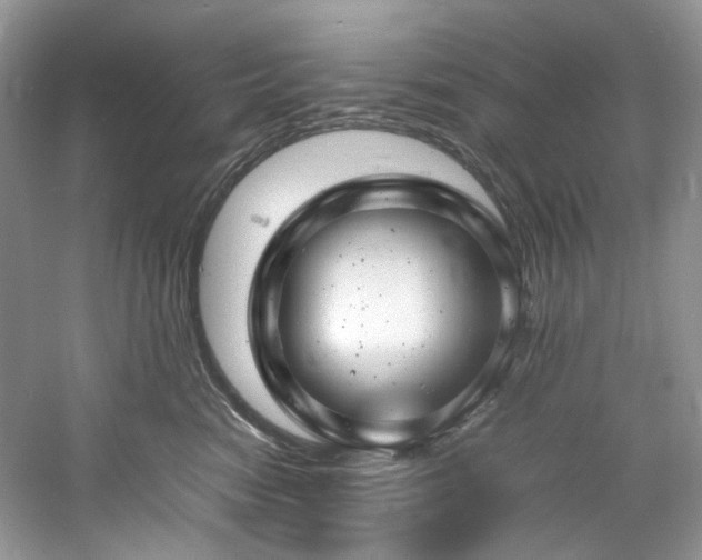 X0000061110474200511181134