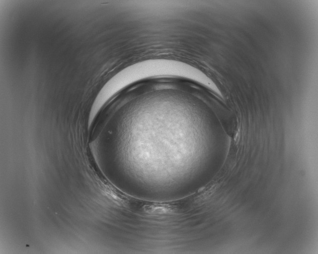 X0000061110475200511181134