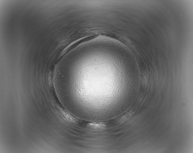 X0000061110477200511181134