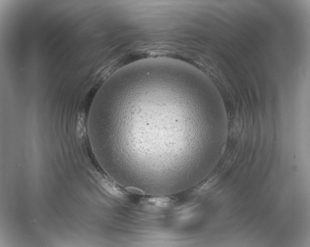 X0000061110478200511181134