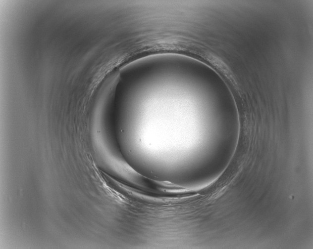 X0000061110481200511181133