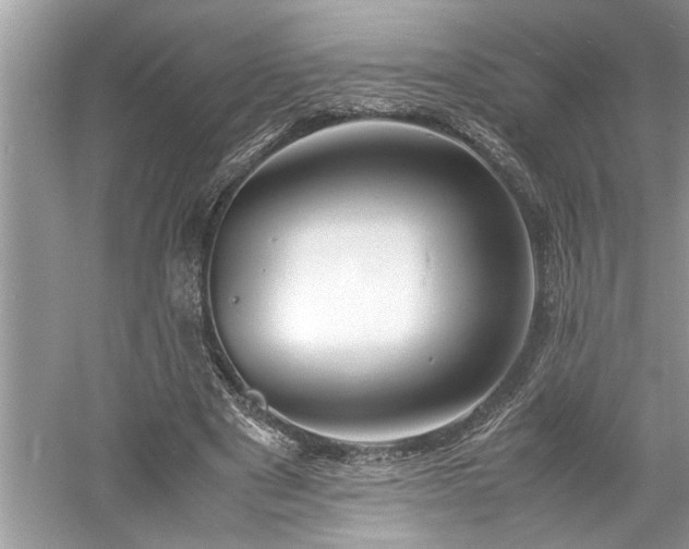 X0000061110489200511181133