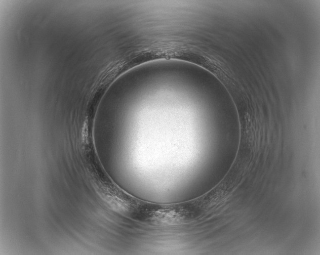 X0000061110502200511181133