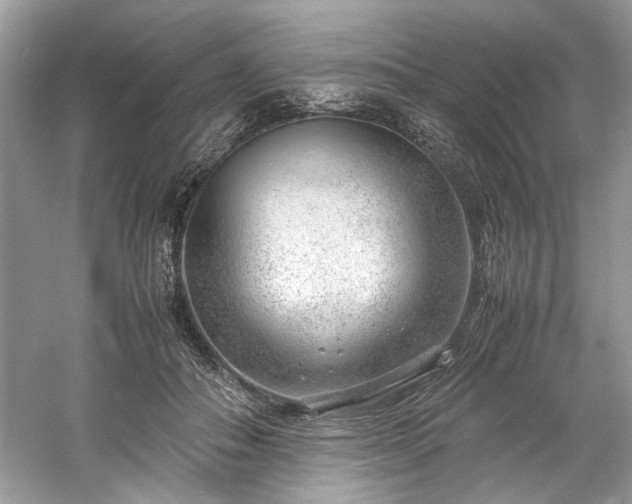 X0000061110506200511181133