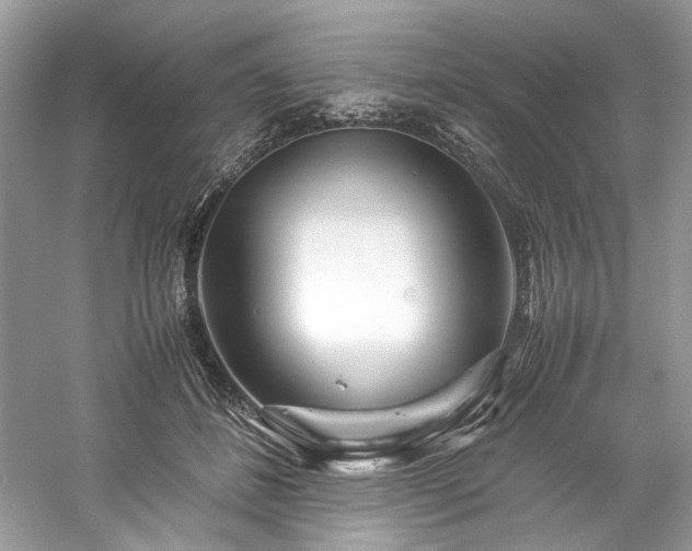 X0000061110508200511181133