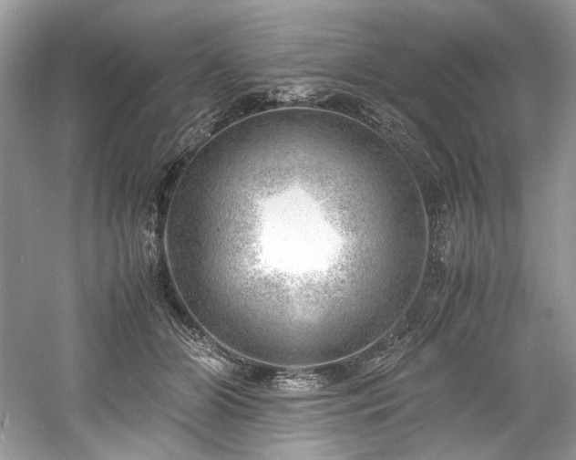 X0000061110510200511181133
