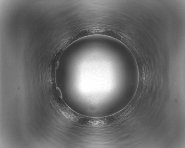 X0000061110512200511181133
