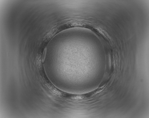 X0000061110513200511181133