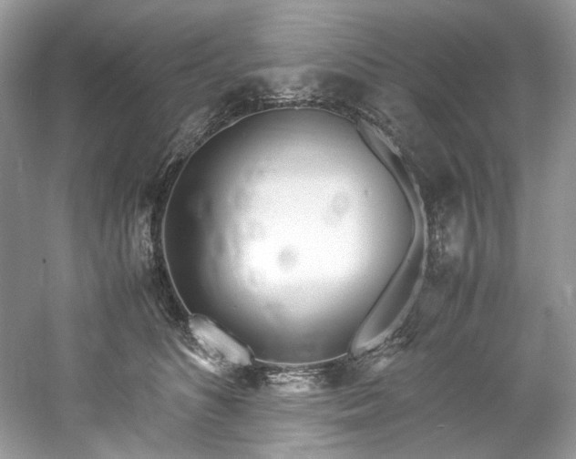 X0000061110516200511181133