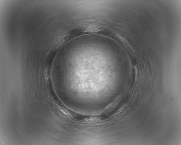 X0000061110517200511181133