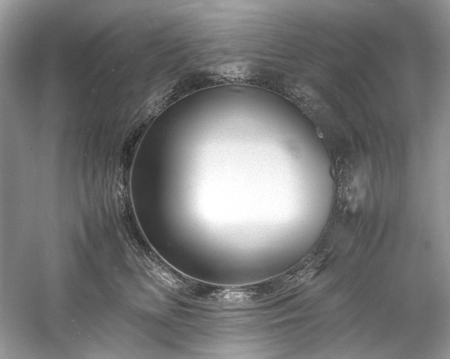 X0000061110518200511181133