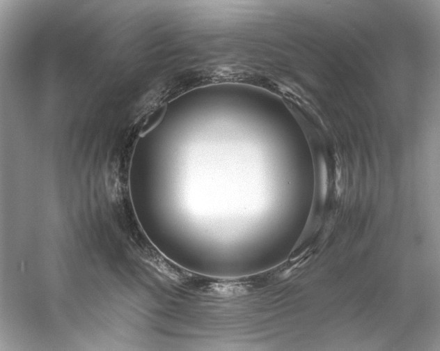 X0000061110520200511181133