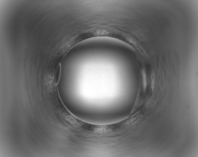 X0000061110521200511181133
