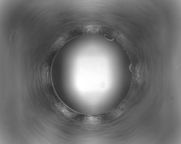 X0000061110522200511181133