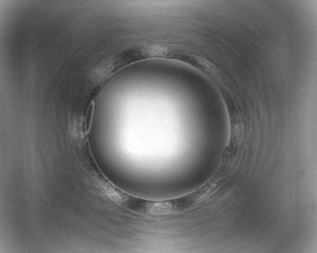 X0000061110525200511181133
