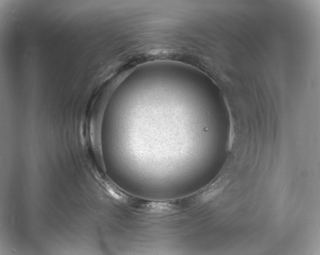 X0000061110528200511181133