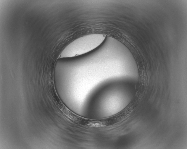 X0000061110557200511181132