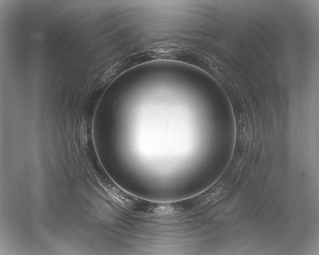 X0000061110562200511181132