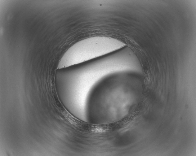 X0000061110565200511181132