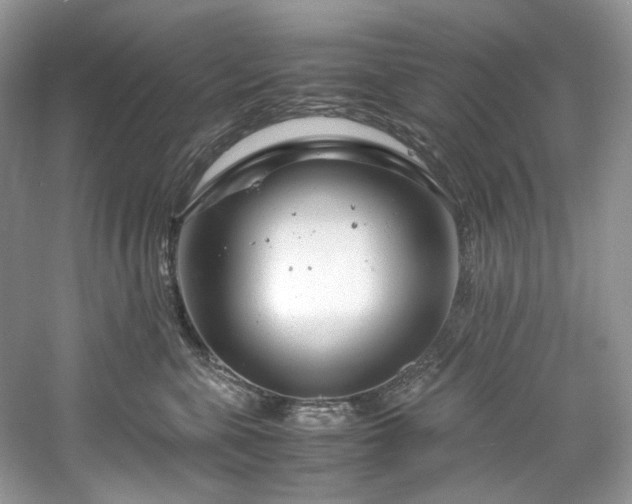 X0000061110571200511181133