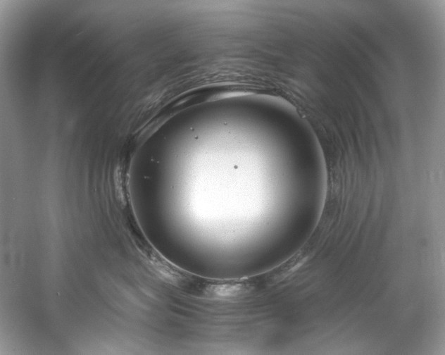 X0000061110575200511181133