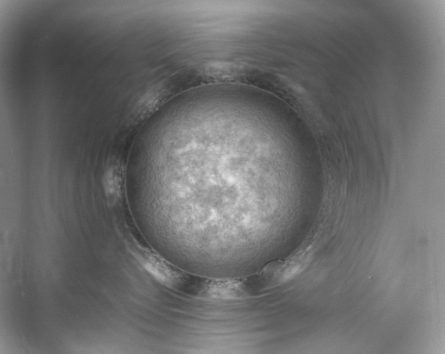 X0000061110576200511181133