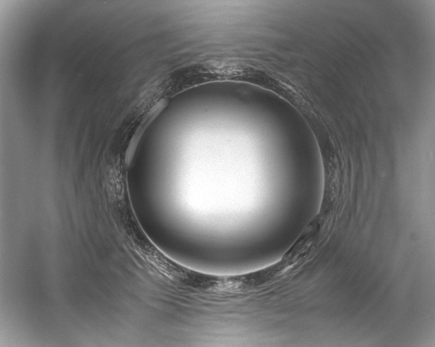 X0000061110609200511181131