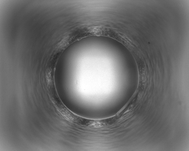 X0000061110611200511181131