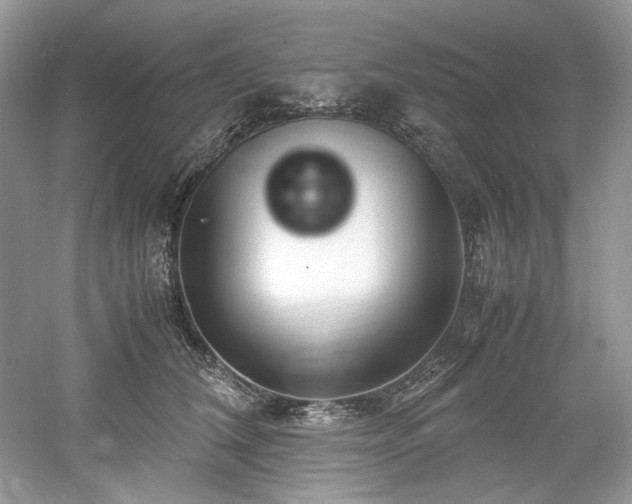 X0000061110612200511181131