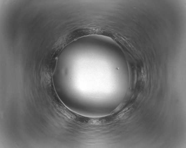 X0000061110613200511181131