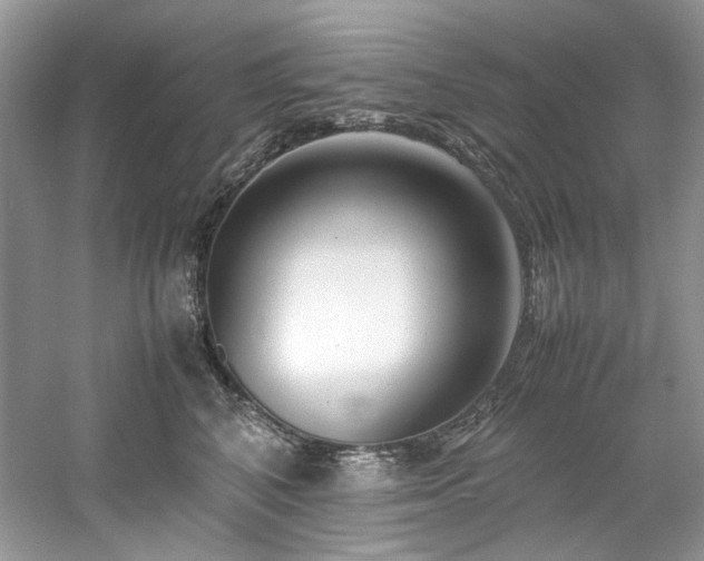 X0000061110616200511181131